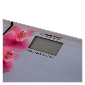 Esperanza EBS010 personal scale Electronic personal scale 4