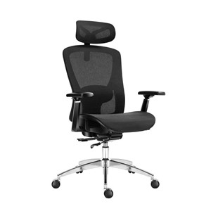 Expert 5.3 Black Mesh Swivel Chair-stolica