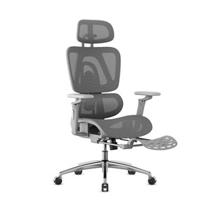 Expert 7.9 Grey Swivel Chair