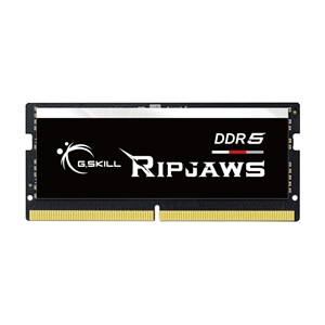 G.Skill Ripjaws F5-4800S4039A16GX1-RS memory module 16 GB 1 x 16 GB DDR5 262-pin SO-DIMM