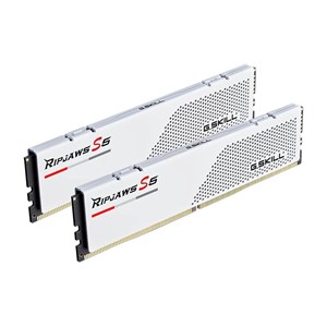 G.Skill Ripjaws S5 F5-6000J2836G16GX2-RS5W memory module 32 GB 2 x 16 GB DDR5 4800 MT /s