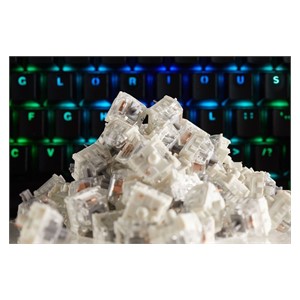 Glorious PC Gaming Race KAI-SILVER input device accessory Keyboard switches