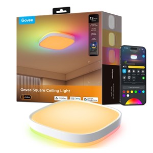 Govee 30cm RGBWW + RGBIC Smart Smart ceiling light Wi-Fi /Bluetooth 28 W