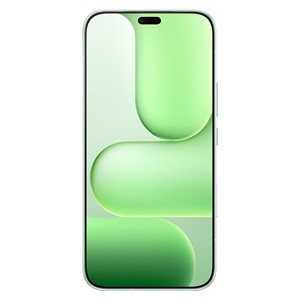 Honor 600 Lite 16.8 cm (6.6) Dual SIM Android 16.0 5G USB Type-C 8 GB 256 GB 6520 mAh Green