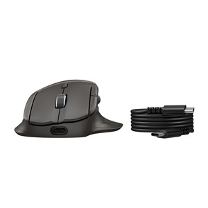 HP Ultra-Fast-Scroll Wireless Mouse 780M