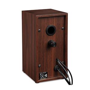 iBox IGLSP1 loudspeaker Cherry (fruit) Wired 10 W 4