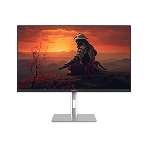 JAPANNEXT JN-I270FHD200F-HSP computer monitor 68.6 cm (27) 1920 x 1080 pixels Full HD LED Silver
