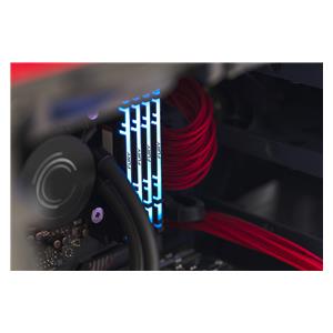 Kingston FURY Renegade RGB - 16GB:2x8G 18