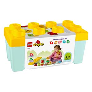 LEGO DUPLO 10984 ORGANIC GARDEN 4