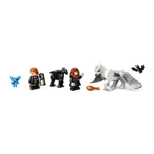 LEGO HARRY POTTER 76432 Forbidden Forest - Magical Creatures 6