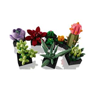 LEGO ICONS 10309 SUCCULENTS