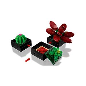 LEGO ICONS 10309 SUCCULENTS 3