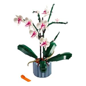 LEGO ICONS 10311 ORCHID 4