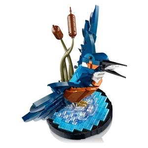 LEGO ICONS 10331 Kingfisher Bird 5