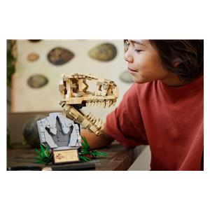 LEGO JURASSIC WORLD 76964 DINOSAUR FOSSILS — T.REX SKULL 8