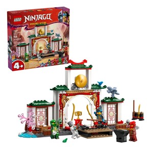 LEGO NINJAGO 71831 Ninja Spinjitzu Temple