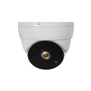 LevelOne 4-in-1 Fixed Dome CCTV Analog Camera, FHD 1080P