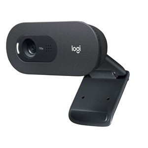 Logitech C505 HD Webcam