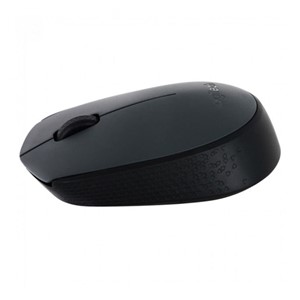 Logitech M170 Wireless Optical Mouse