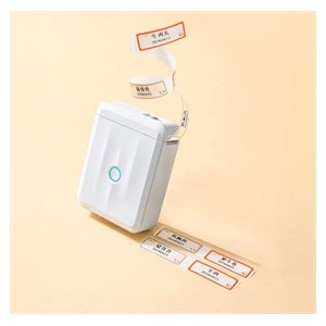 Niimbot D110_M Label Printer, white