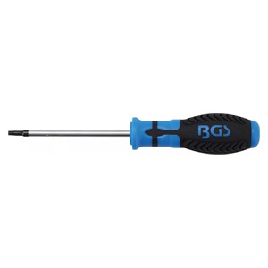 BGS Odvijač | T-profil (za Torx) s provrtom T25 | Dužina oštrice 100 mm