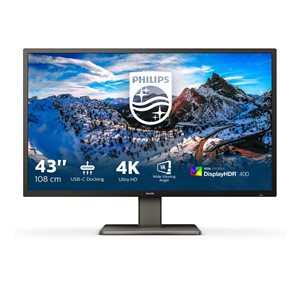 Philips P Line 439P1 /00 computer monitor 108 cm (42.5) 3840 x 2160 pixels 4K Ultra HD LCD Black