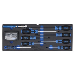 BGS Pjenasti ulošci za BGS 3312: odvijači, set bitova i magnetnih podizača | 41-dijelni