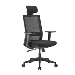 Premium Ergonomic Office Chair with High Back Ergo Office, max 150kg, ER-425