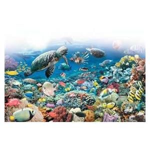 Ravensburger Beneath the Sea 5