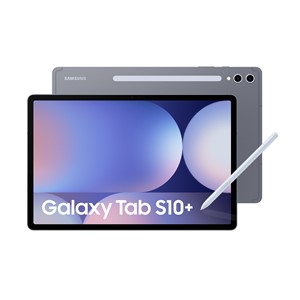 Samsung S10+ 512 GB 31.5 cm (12.4) 12 GB Android 14 Grey