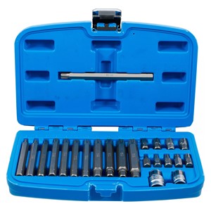 BGS Set bitova | vanjski šesterokutni pogon 10 mm (3 /8) | klinasti profil (za RIBE) | 22-dijelni