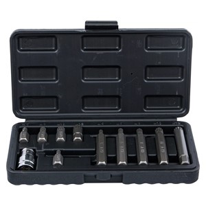 BGS Set bitova | vanjski šesterokutni pogon 10 mm (3 /8) | unutarnje ozubljenje (za XZN) | 11-dijelni
