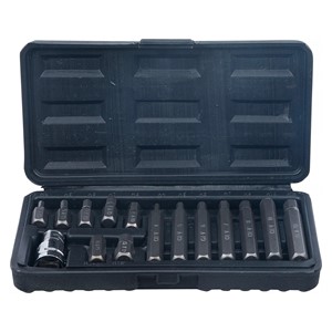 BGS Set bitova | vanjski šesterokutni pogon 10 mm (3 /8) | unutarnji šesterokut | 15-dijelni