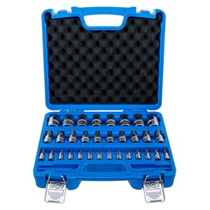 BGS Set umetaka bitova | 6,3 mm (1 /4) /10 mm (3 /8) /12,5 mm (1 /2) | unutarnji šesterokut 2 - 19 mm /1 /4 - 9 /16 | metričke i inčne | 32-dijelni