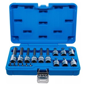 BGS Set umetaka bitova | 6,3 mm (1 /4) /12,5 mm (1 /2) | T-profil (za Torx) | 18-dijelni