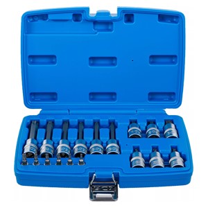 BGS Set umetaka bitova | 6,3 mm (1 /4) /12,5 mm (1 /2) | T-profil (za Torx) s provrtom | 18-dijelni