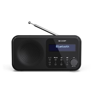 Sharp DR-P420 Portable Digital Black