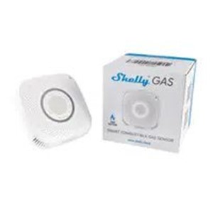Shelly Gas CNG gas detector Natural gas