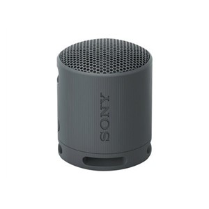 Sony SRS-XB100 - Wireless Bluetooth Portable Speaker, Durable IP67 Waterproof & Dustproof, 16 Hour Battery, Eco, Outdoor and Travel in Black