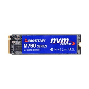 SSD Biostar M760 256GB
