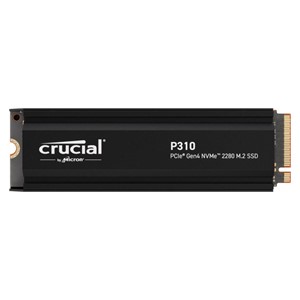 SSD PCIE G4 M.2 NVME 1TB W /HS /P310