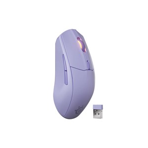 Steelseries 62525 mouse Gaming Right-hand RF Wireless + Bluetooth Optical 18000 DPI