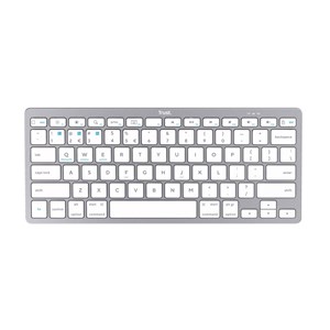 Trust Basic IS Wireless Keyboard Silver (24651)