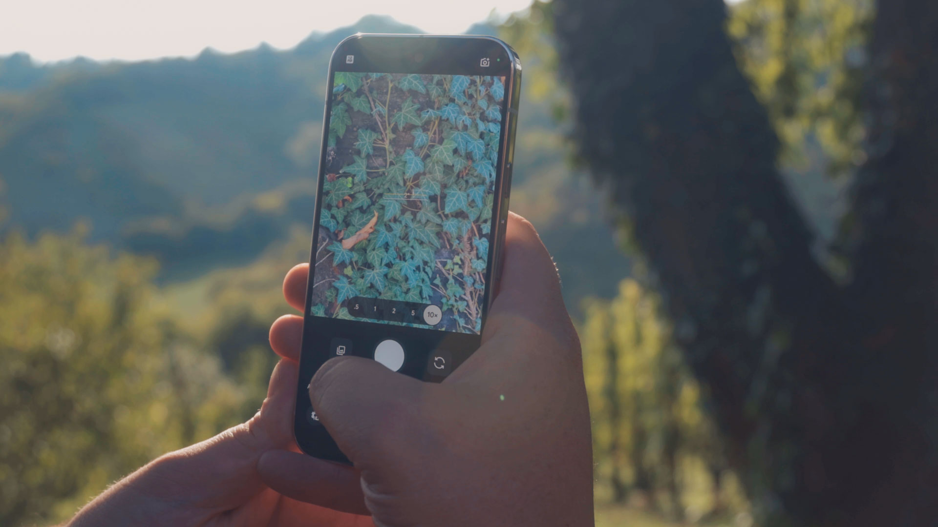 Osoba drži u rukama pametni telefon s upaljenom kamerom koja je uperena na drvo kako bi se pokazale mogućnostu zumiranja pametnog telefona